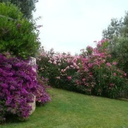 Studio-apartment, Erdgeschoss, Meerblick Mit Grossem Garten Appartamento Finale Ligure