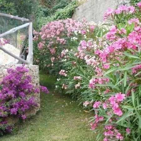 Studio-apartment, Erdgeschoss, Meerblick Mit Grossem Garten *